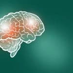 Cognitive Processing Latest Insights Across 9 Sleep Factors