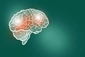 Cognitive Processing Latest Insights Across 9 Sleep Factors